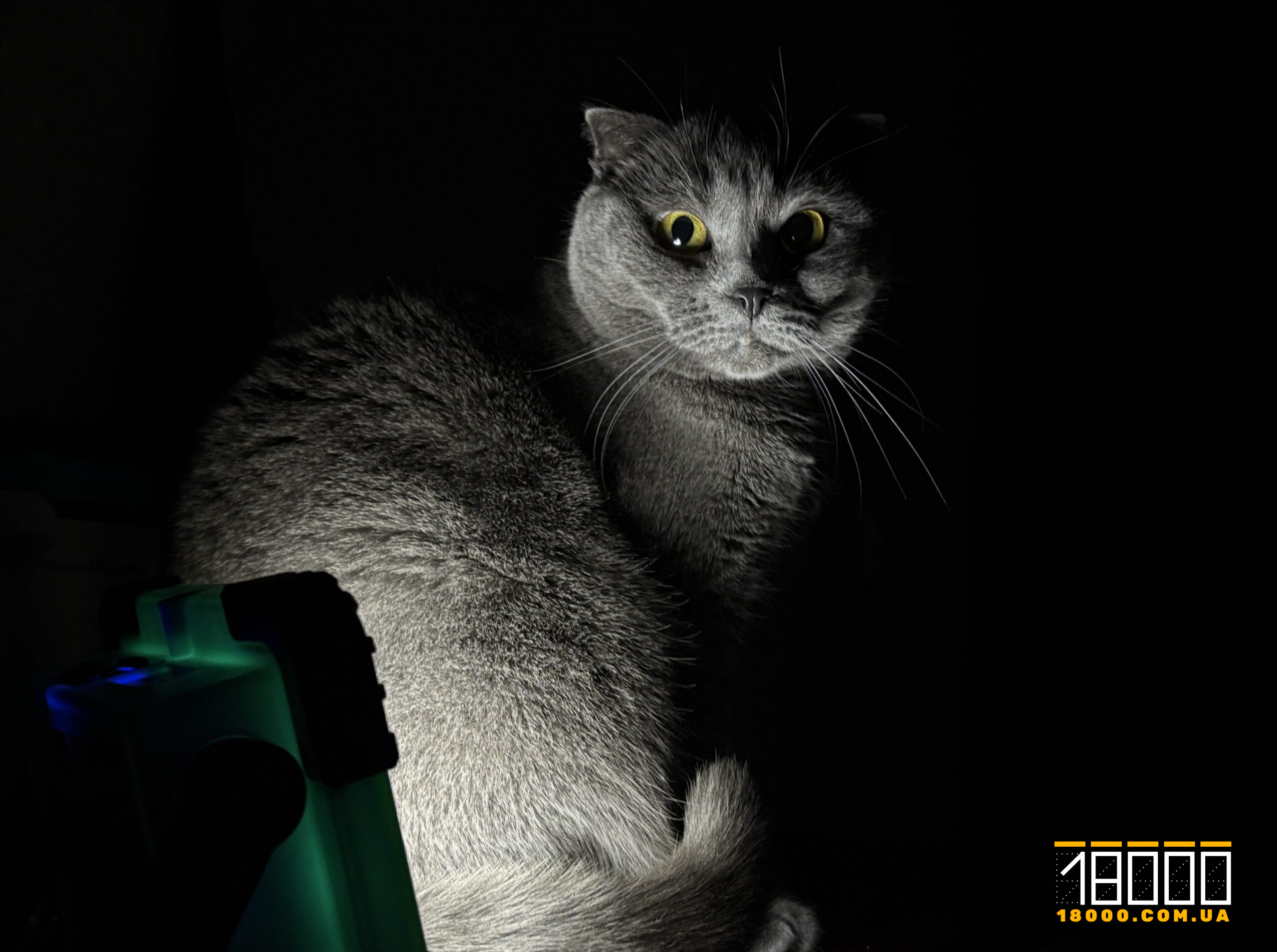 Графік відключення електроенергії на Черкащині 31 січня