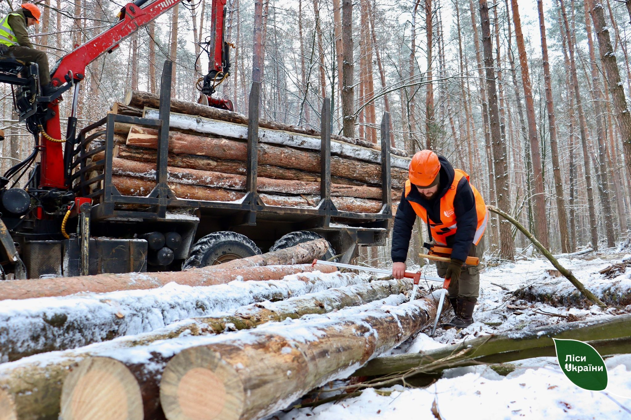 Черкаські лісництва: за два тижні заготовлено понад шість тисяч кубометрів деревини