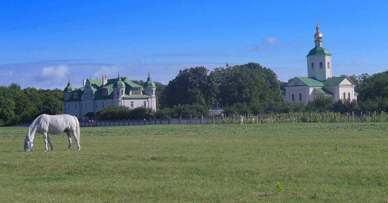 Мотронинський монастир