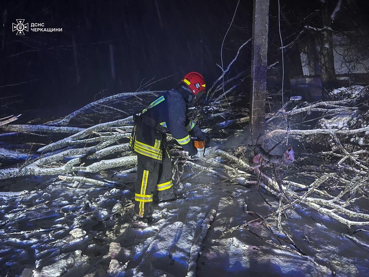 прибирають дерева