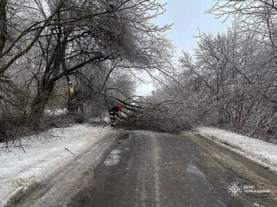 повалене на дорозі дерево