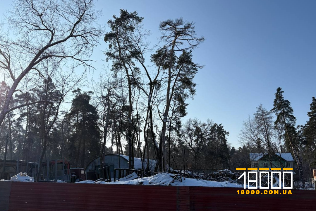 Будівництво в Соснівці