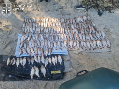 незаконний вилов