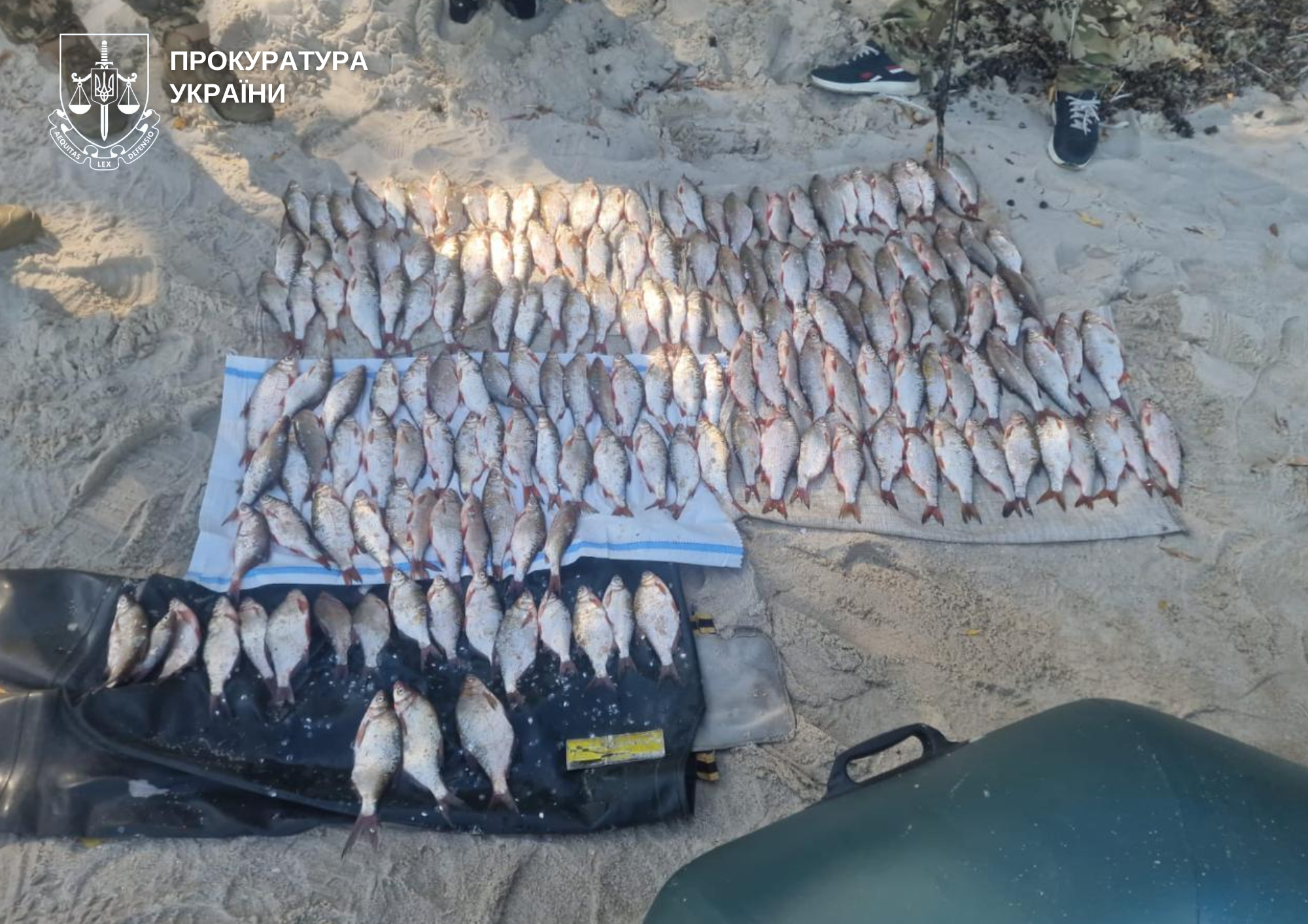 незаконний вилов