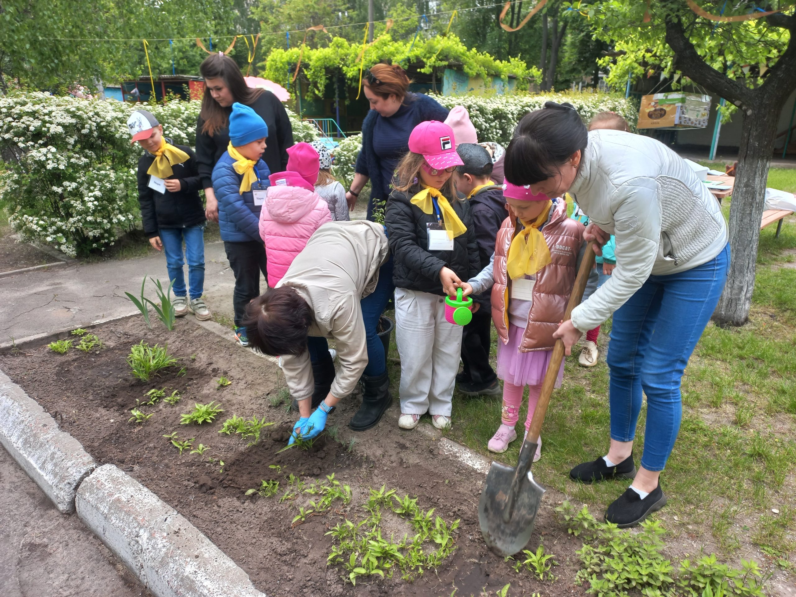 Саджання рослин