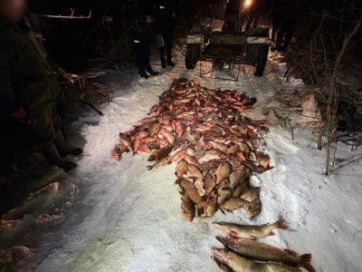 незаконний вилов