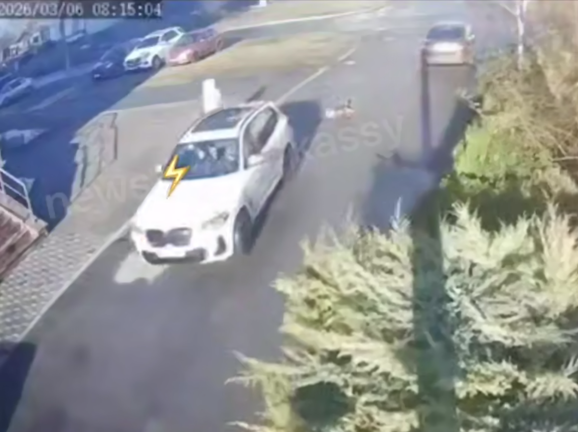 Автомобіль у Черкасах двічі переїхав собаку (ВІДЕО)
