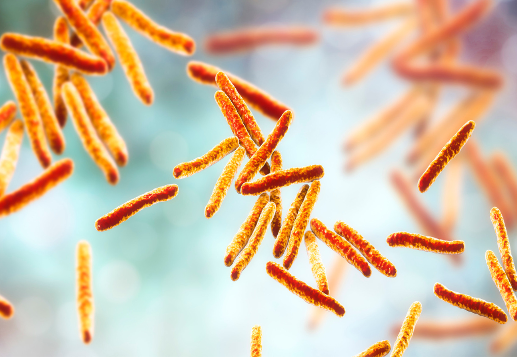 Туберкульоз