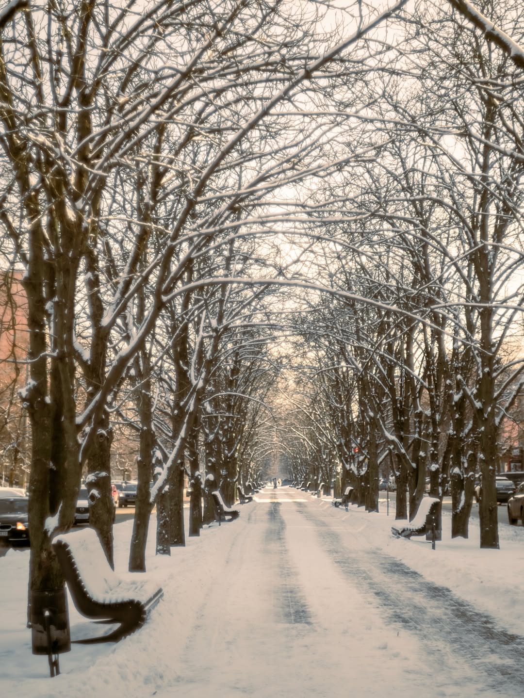 бульвар зима