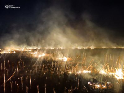 пожежа в полі