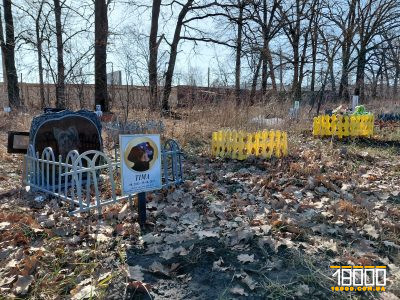 Кладовище тварин у Черкасах