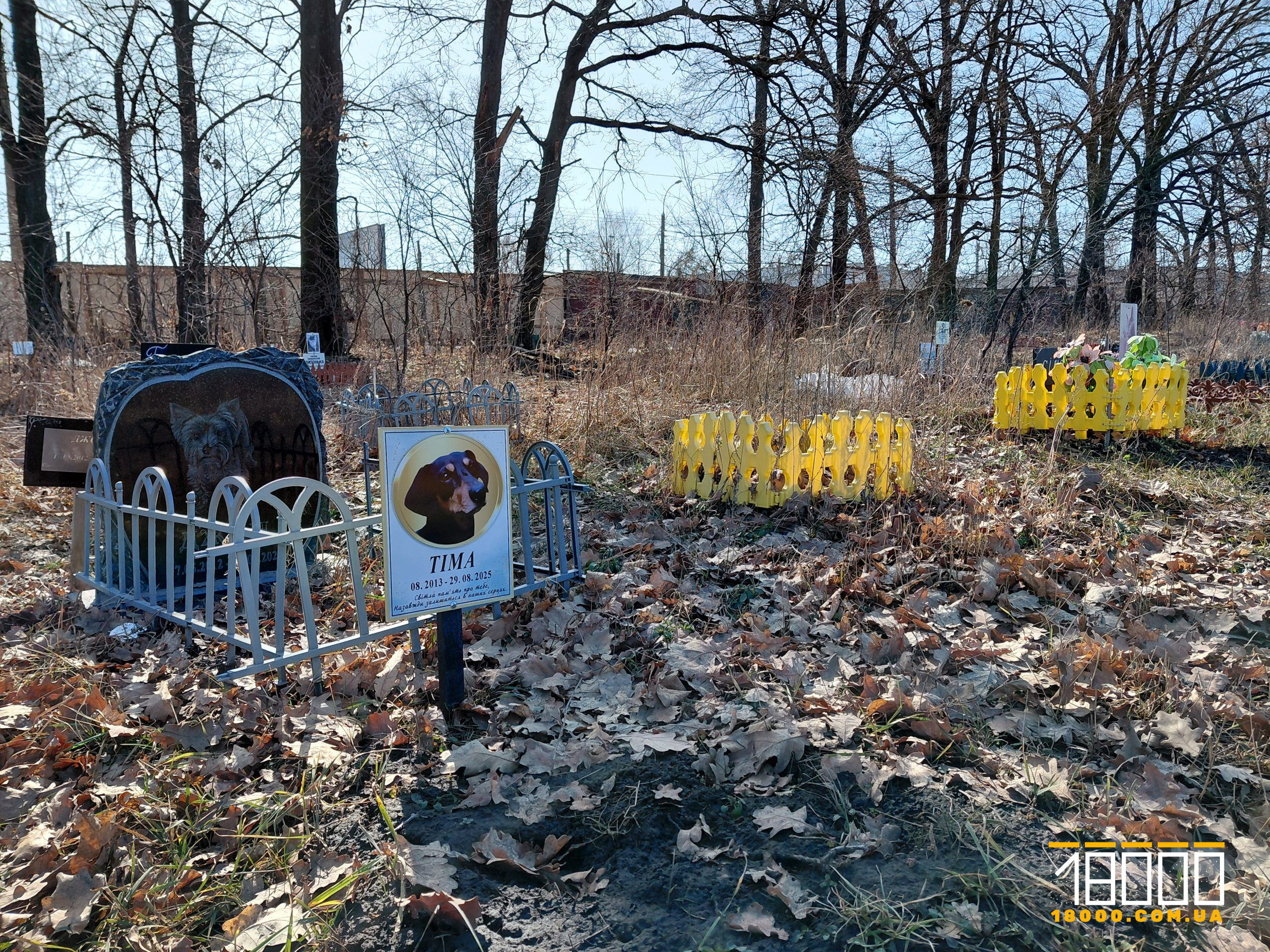 Кладовище тварин у Черкасах