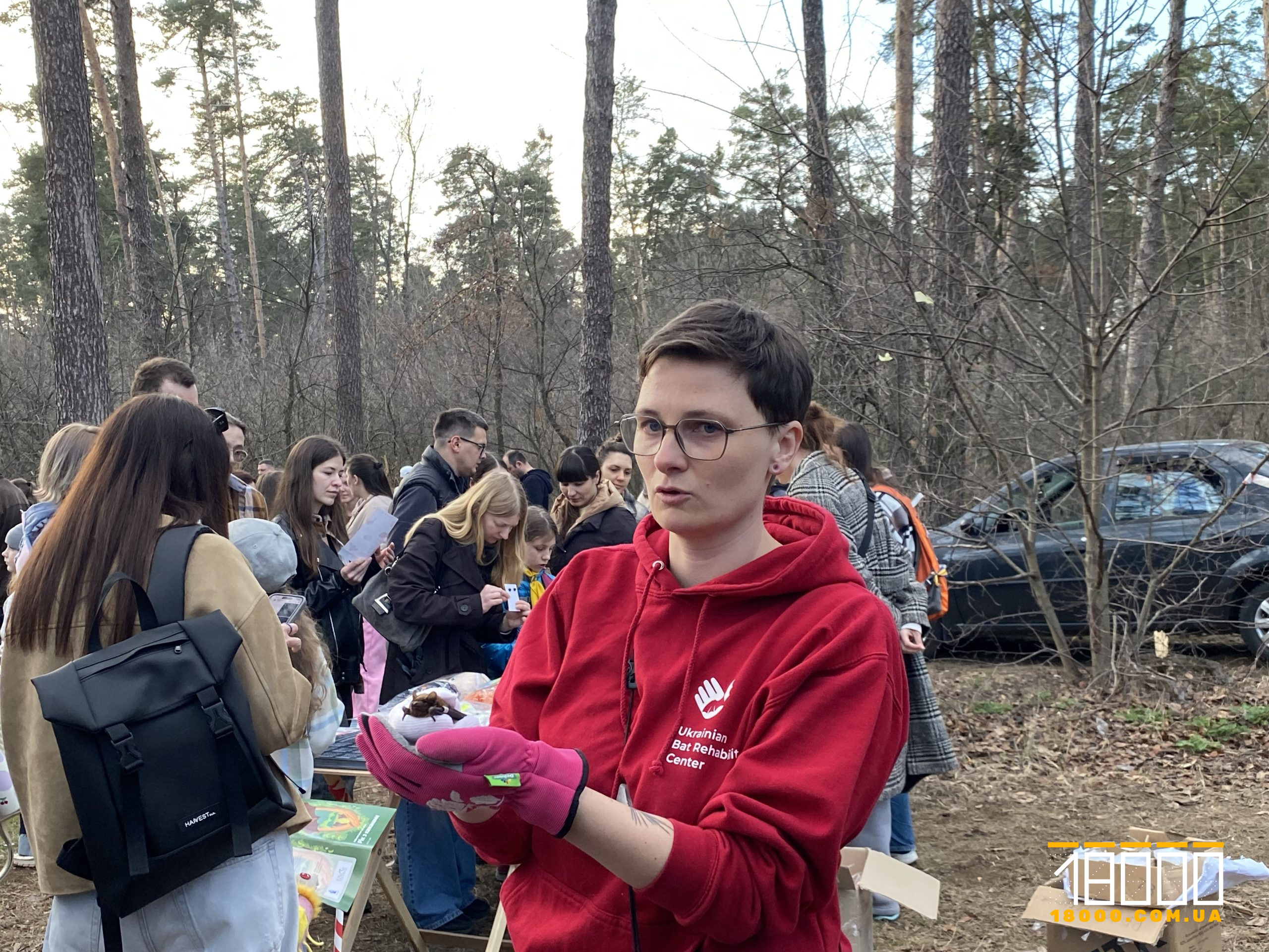 Зооволонтерка