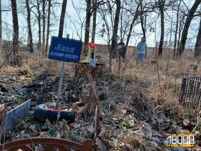 Могиля тварини