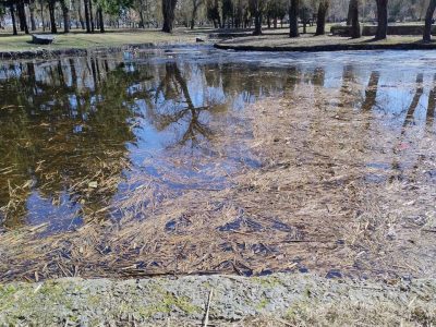 Озеро в парку "Перемоги" в Черкасах
