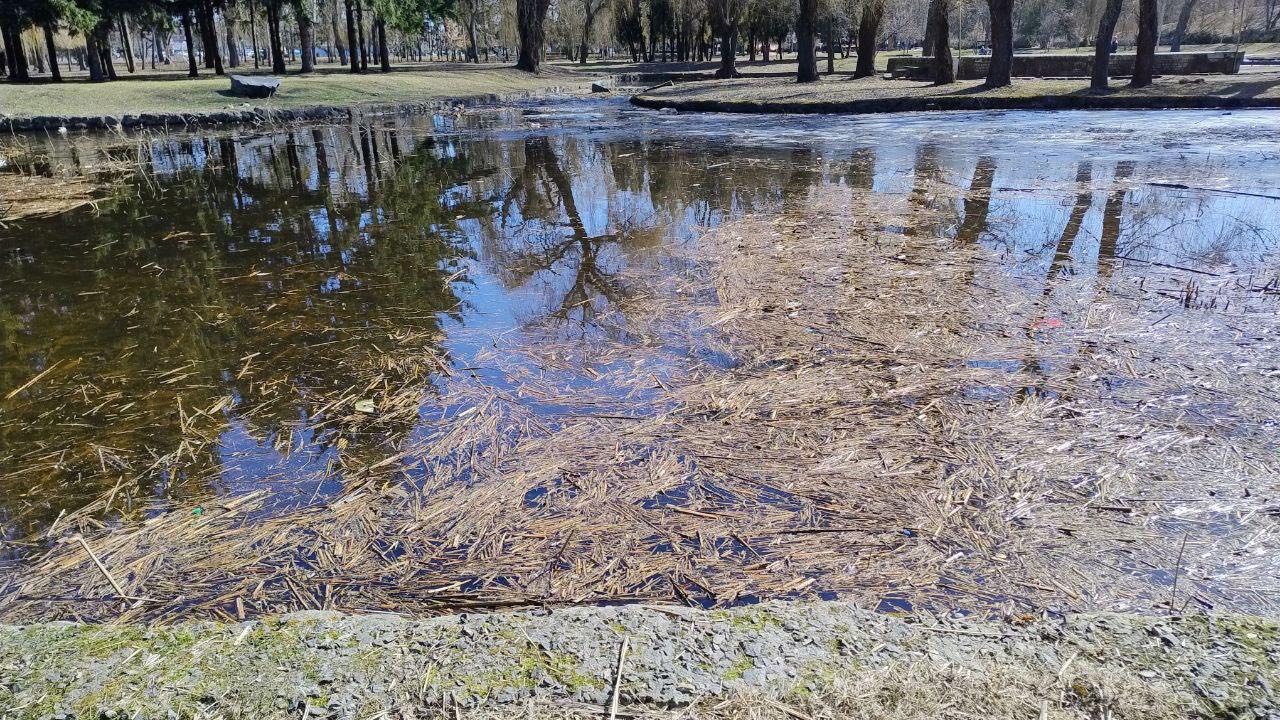 Озеро в парку "Перемоги" в Черкасах