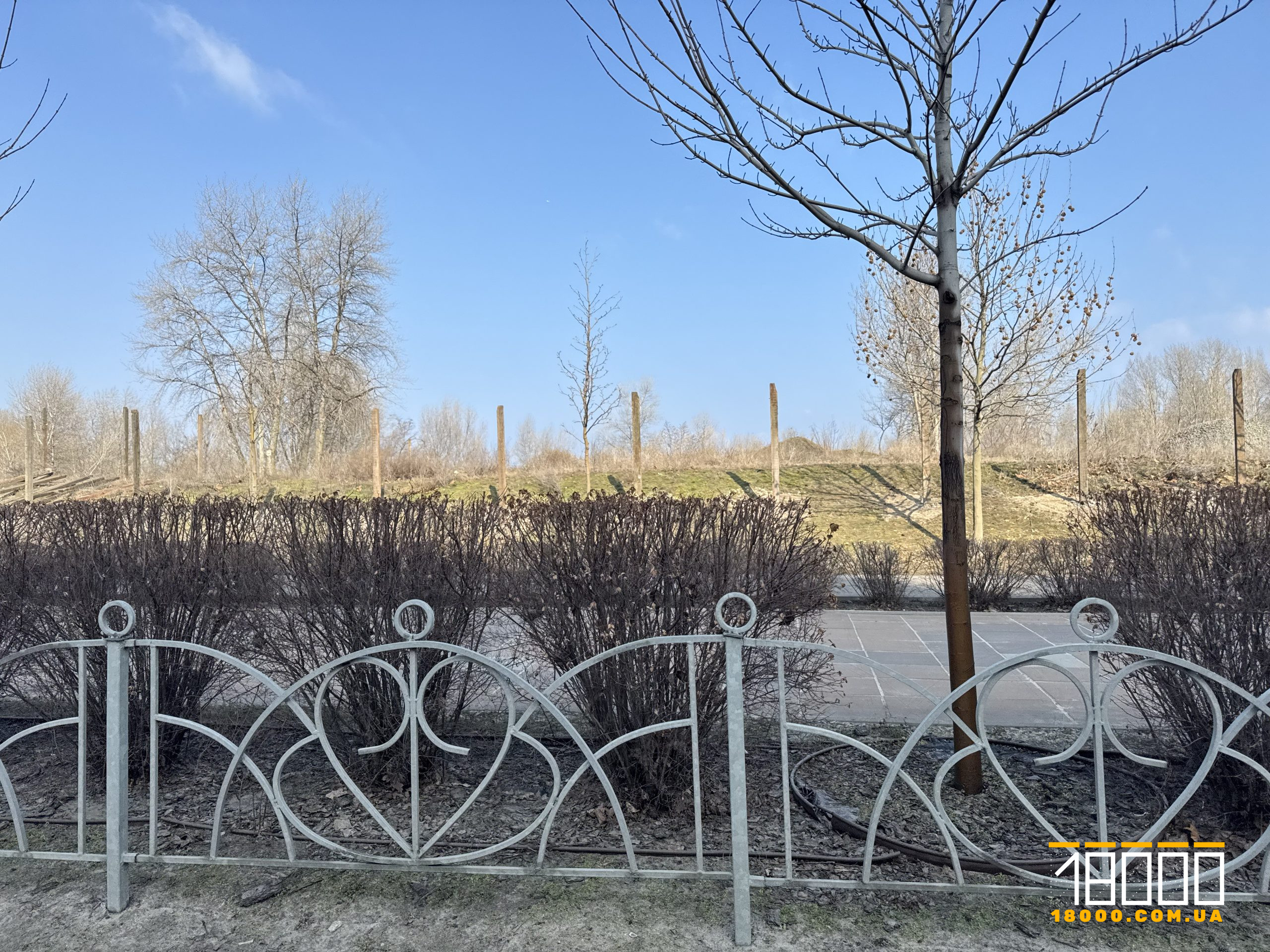 Паркан на Митниці