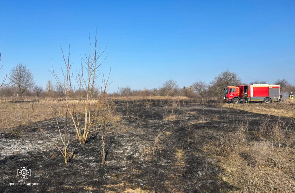 На Черкащині вигоріло понад 2 гектари сухої рослинності