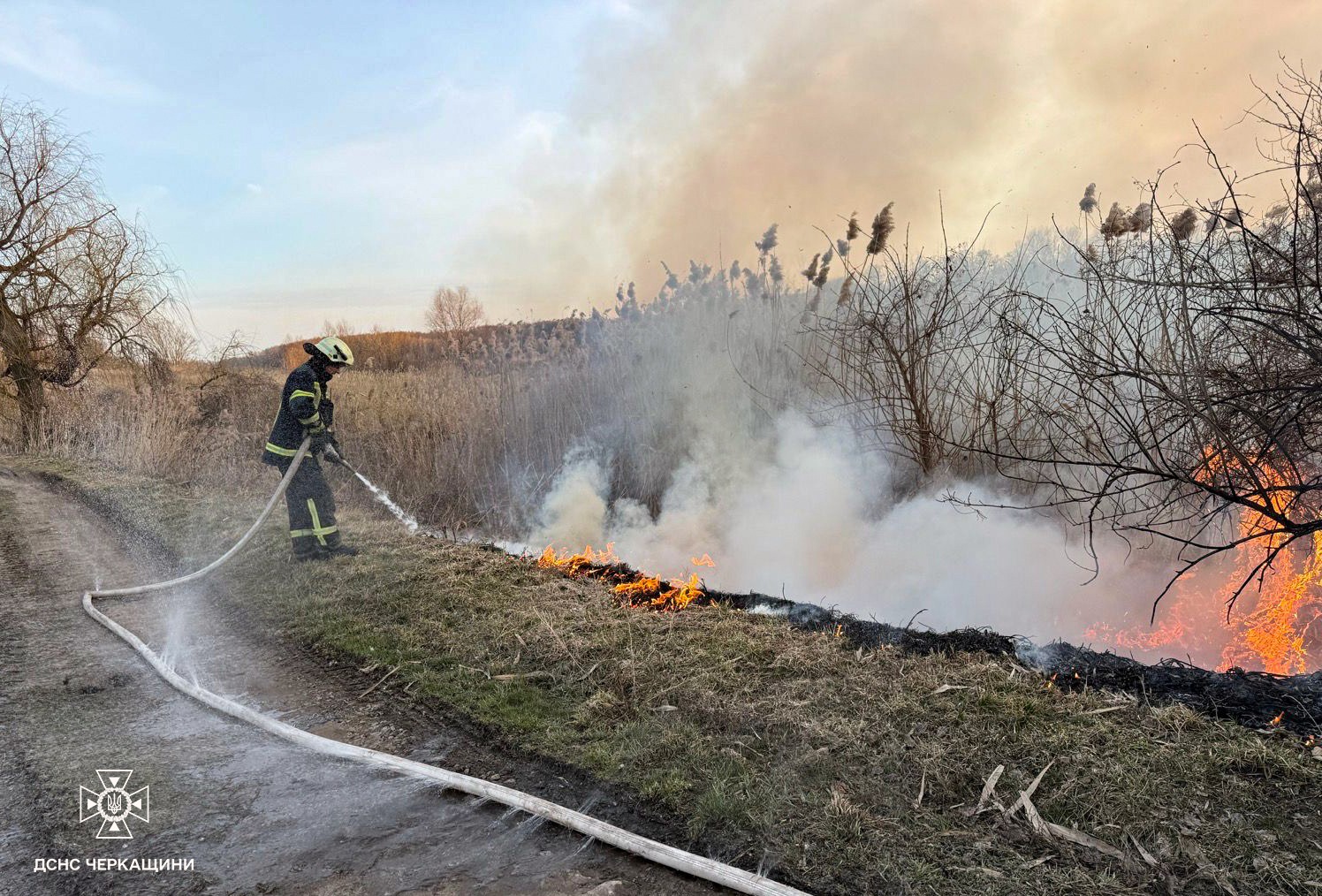 Понад 20 пожеж сухої рослинності сталося на Черкащині минулої доби