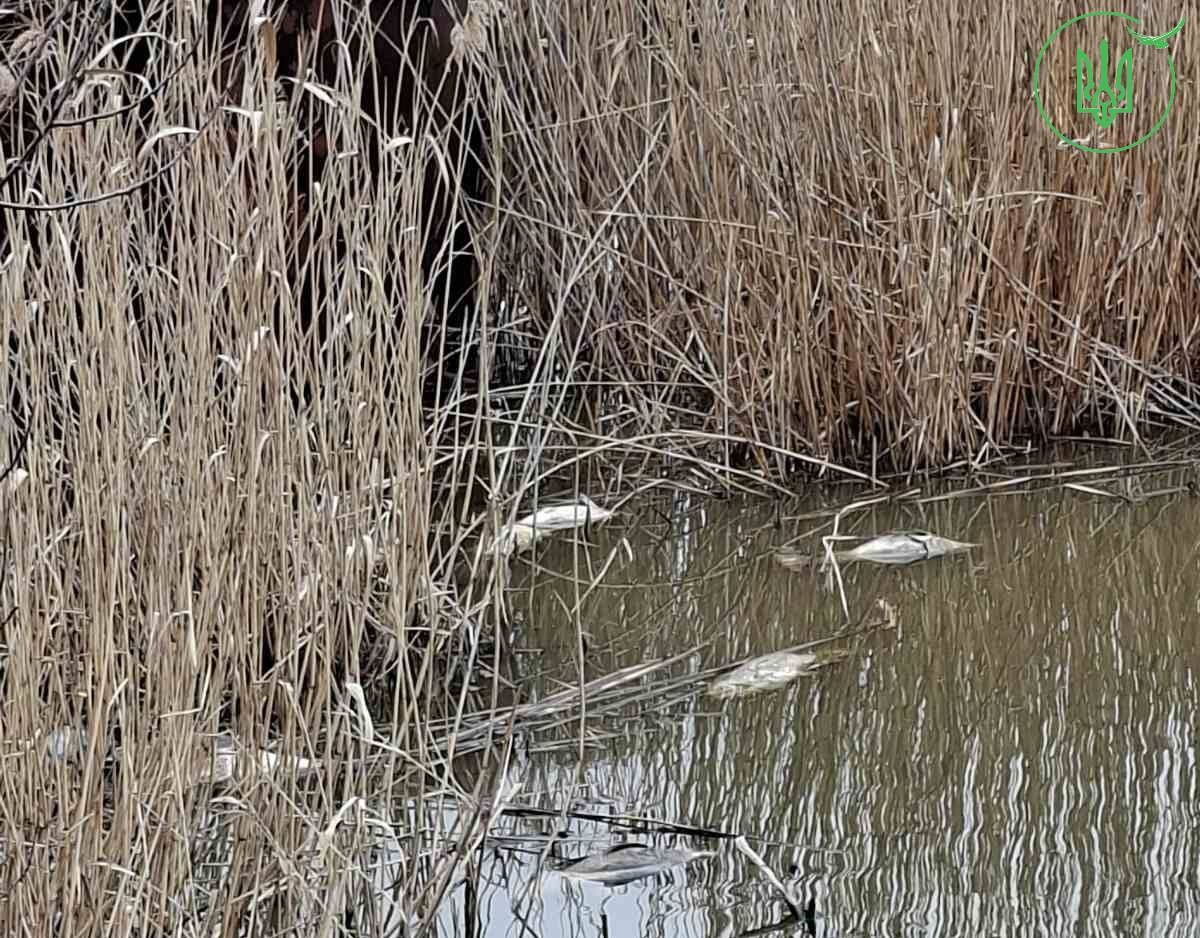 Задуха риби