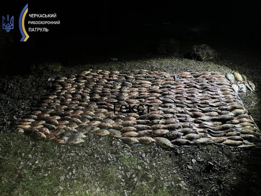 Незаконний вилов риби