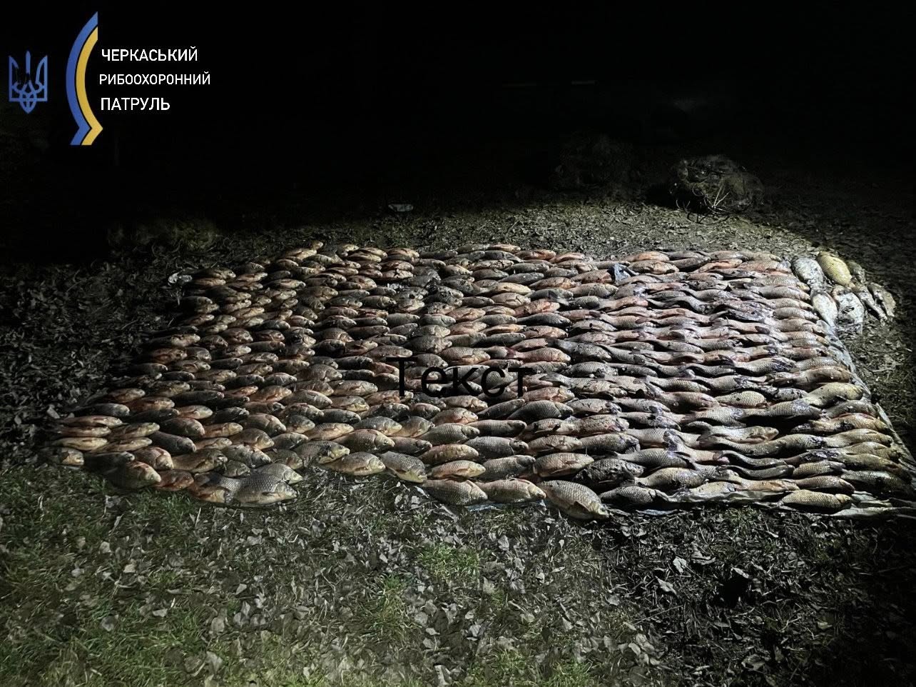 Жінка незаконно наловила 130 кілограмів риби на Черкащині