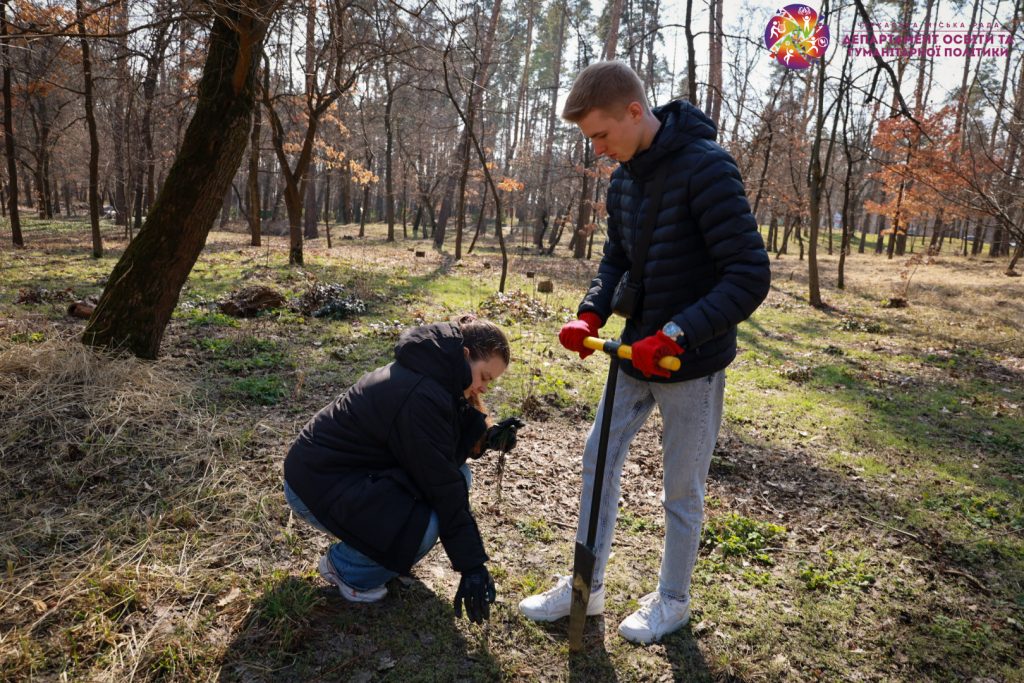висаджування дерев