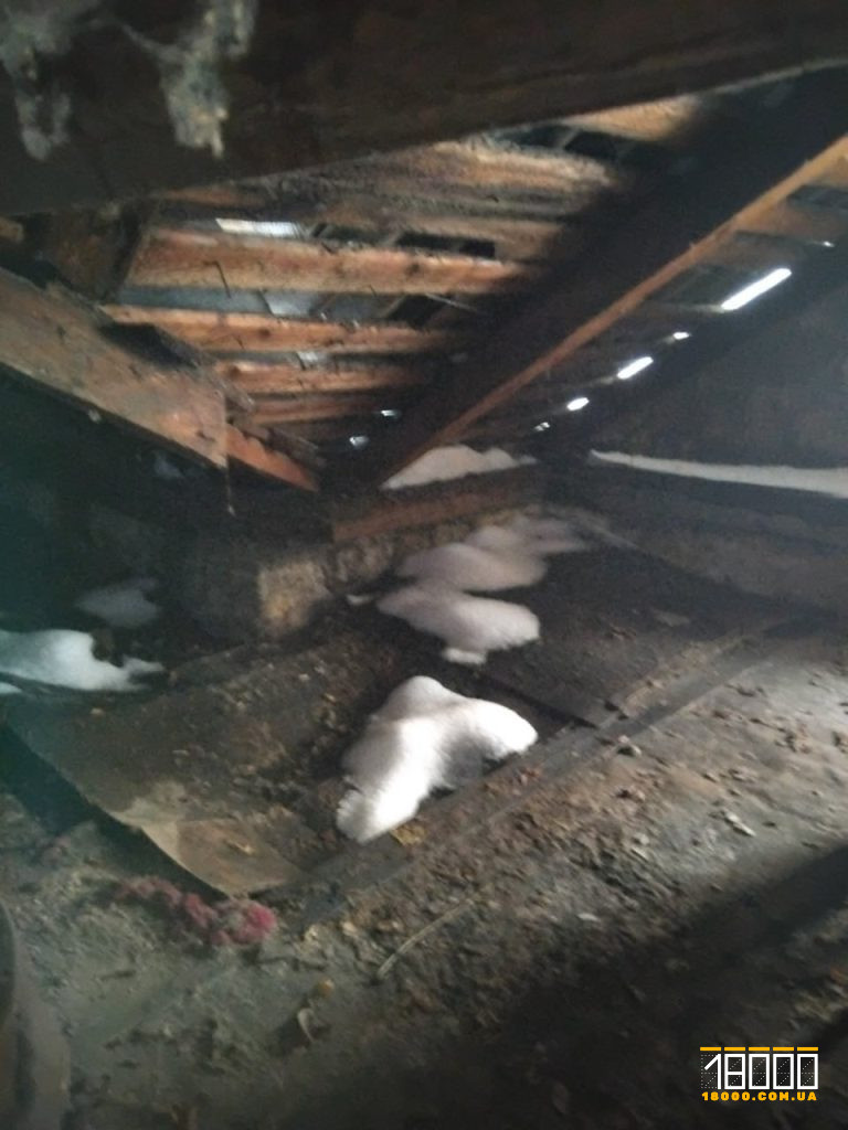 дах будинку