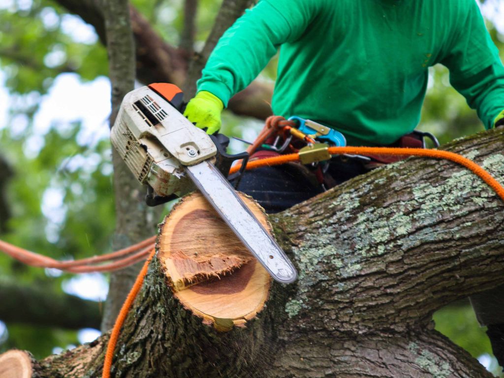 обрізка дерев