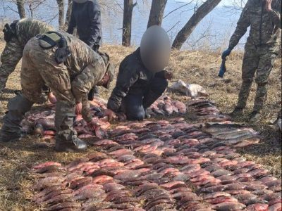 незаконно виловлена риба