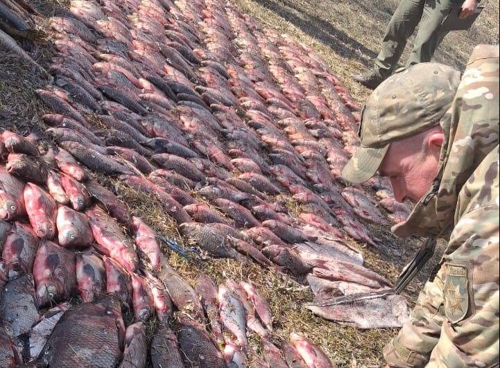 незаконно виловлена риба