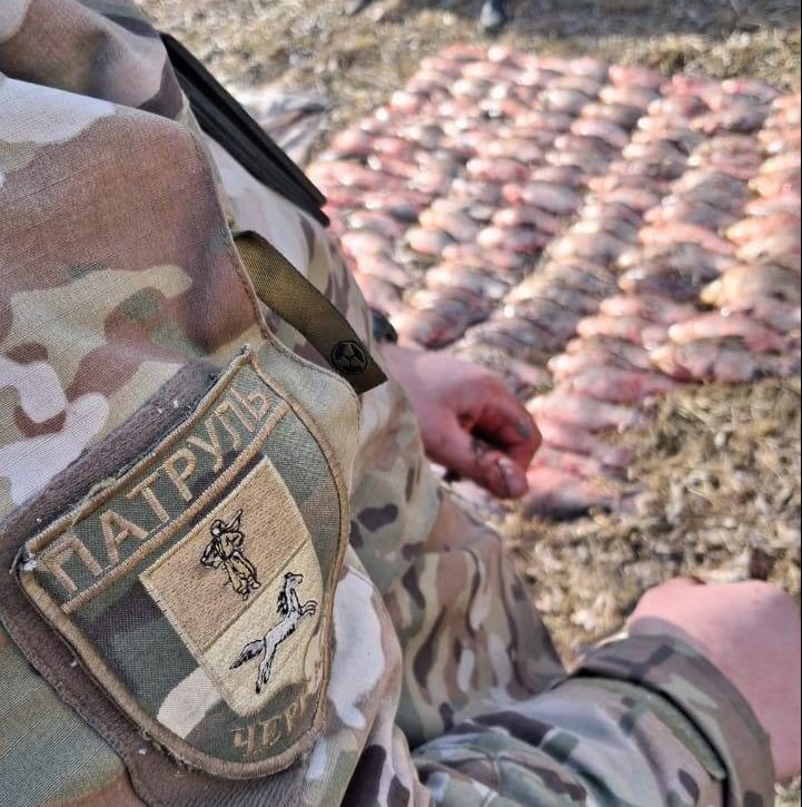 виловлена риба