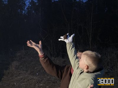 Випуск кажанів