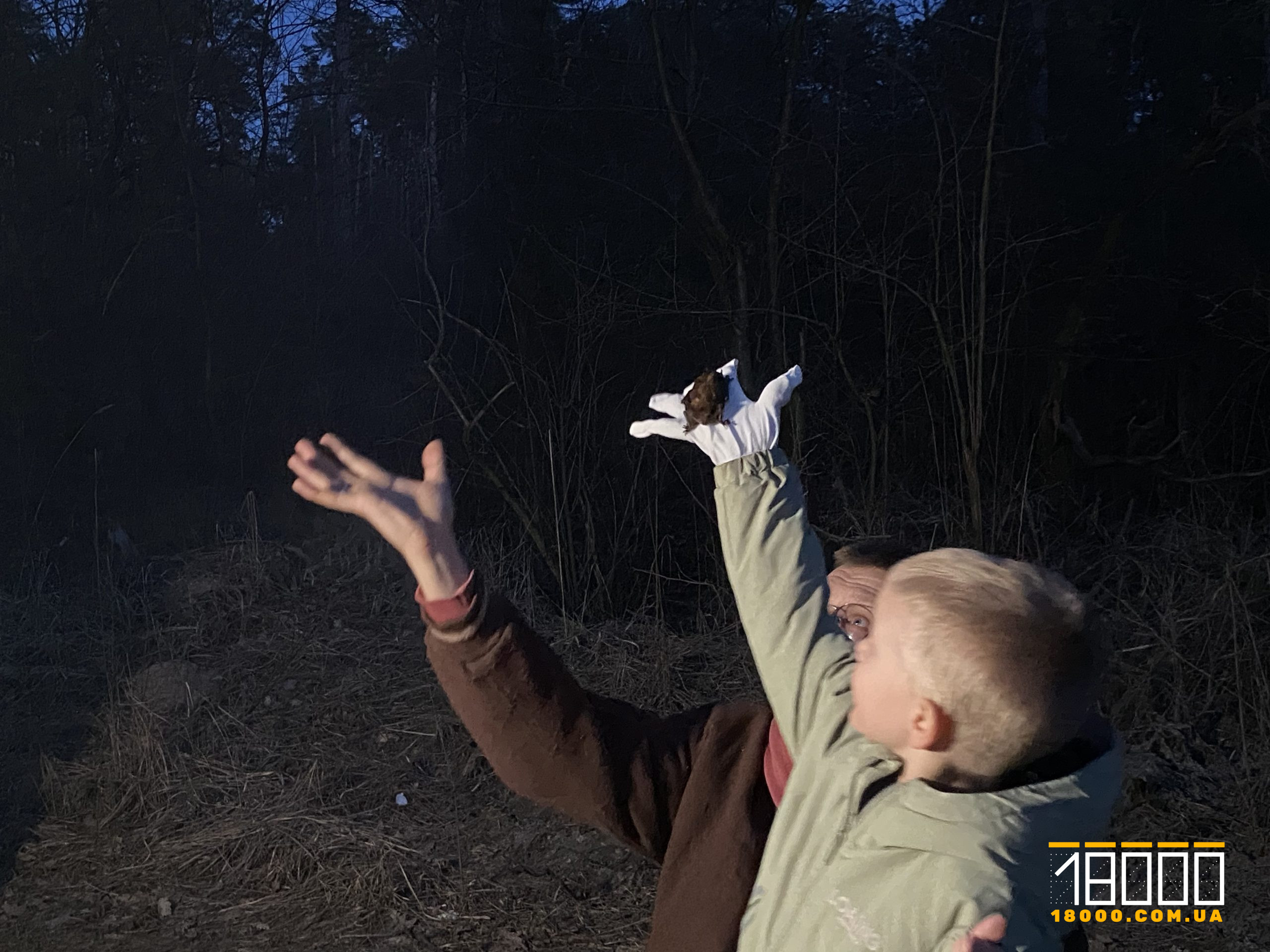 Випуск кажанів