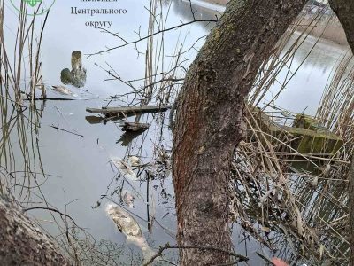 Задуха Риби