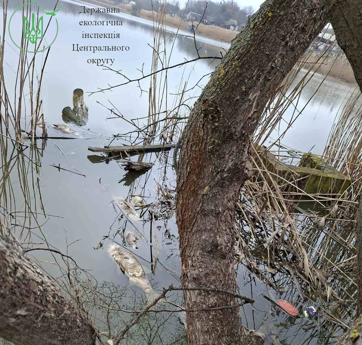 Задуха Риби