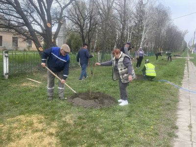 люди на траві