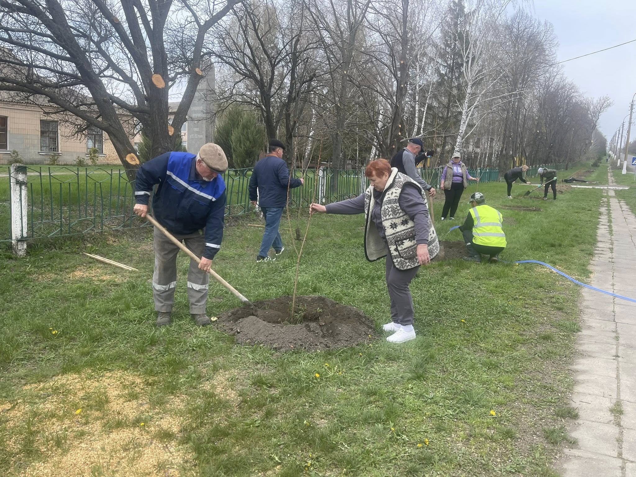 Замість сліз — рожевий цвіт: у селі на Черкащині батьки загиблого захисника висадили алею