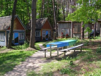 будинки і стіл в лісі