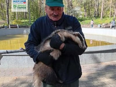 комунальник з борсуком