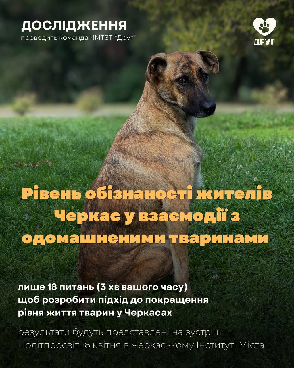 Черкаські волонтери хочуть з’ясувати, наскільки у Черкасах обізнані про поводження з тваринами