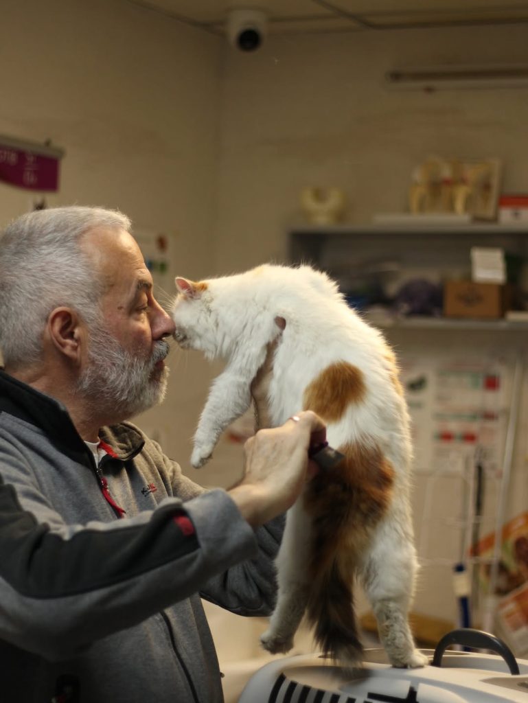 Пітер з котом