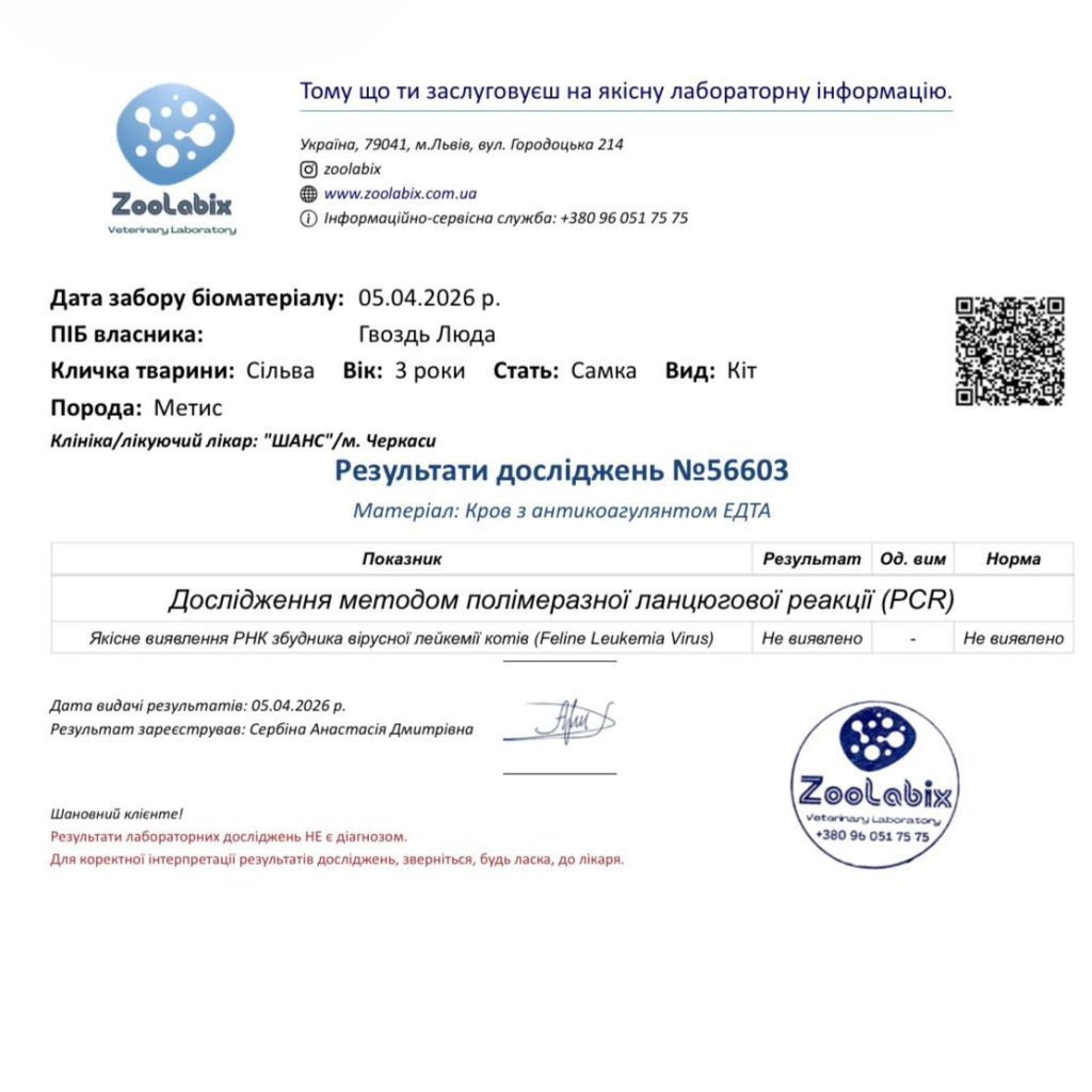 результати на лейкемію