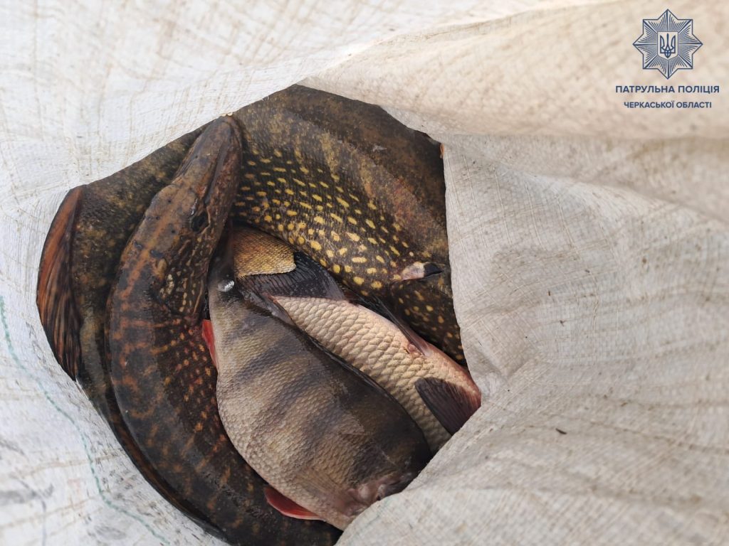 мішок з рибою