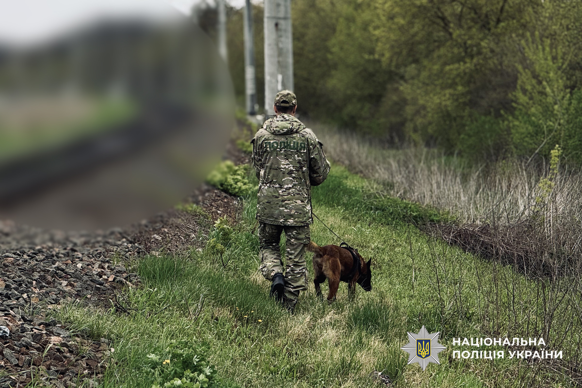 Пошук дитини