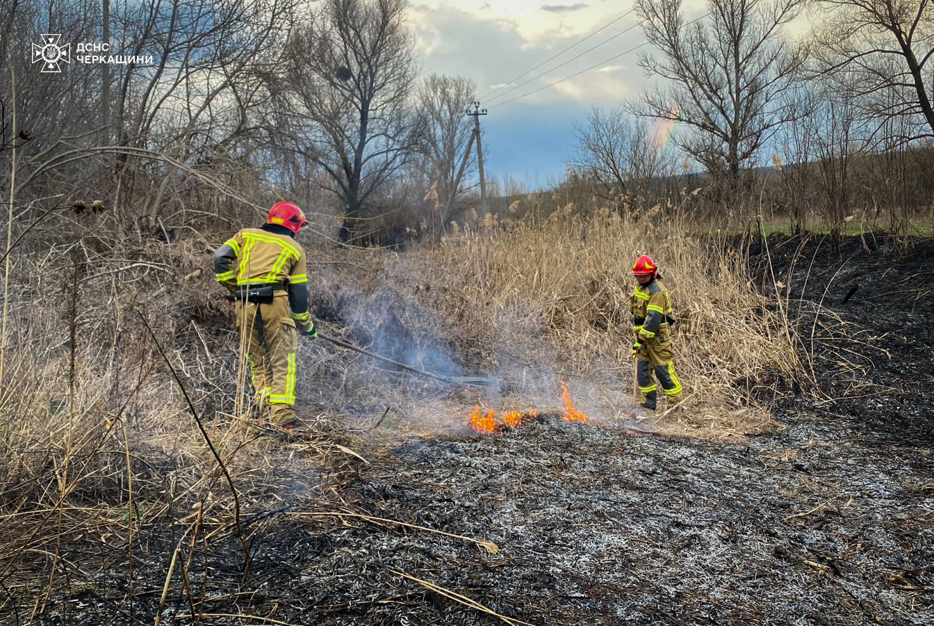 Вогонь знищив рослинність та господарчу споруду на Черкащині (ФОТО)