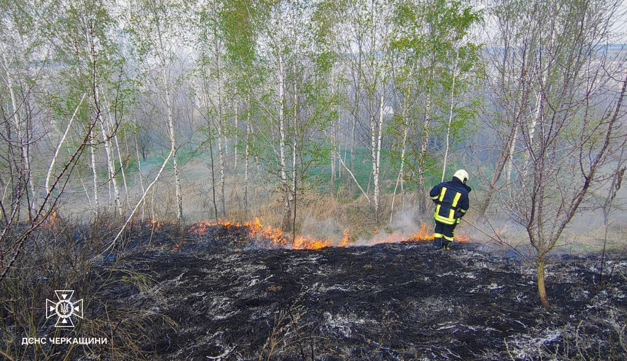 Вогонь охопив понад 1600 «квадратів»: за добу на Черкащині ліквідували шість пожеж в екосистемах