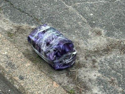 фіолетовий овал