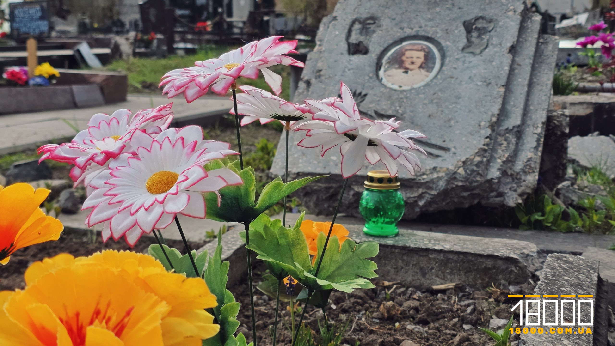 квіти на могилах
