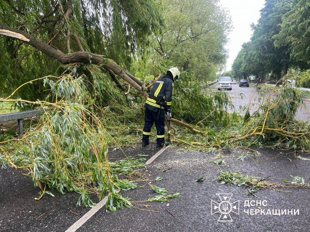 Падали на кисневі генератори та дорогу: на Черкащині ліквідовують наслідки негоди (ФОТО)